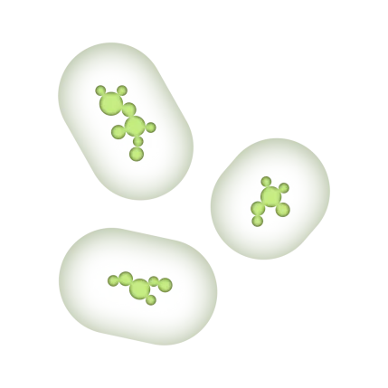 Reference treatment illustration